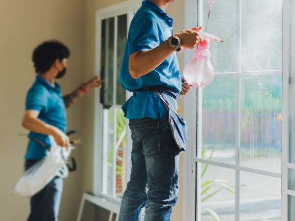 Garanta a proteção UV com película fumê em São Paulo